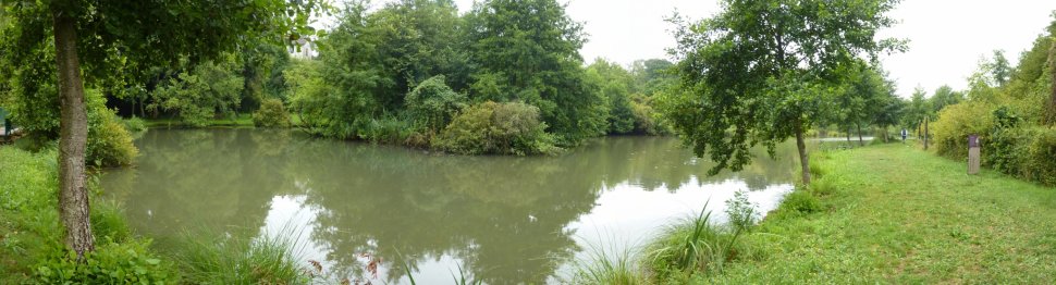 Vue panoramique de l’étang