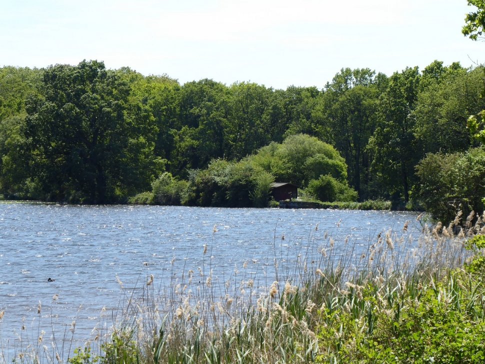 L’étang de Beaufour