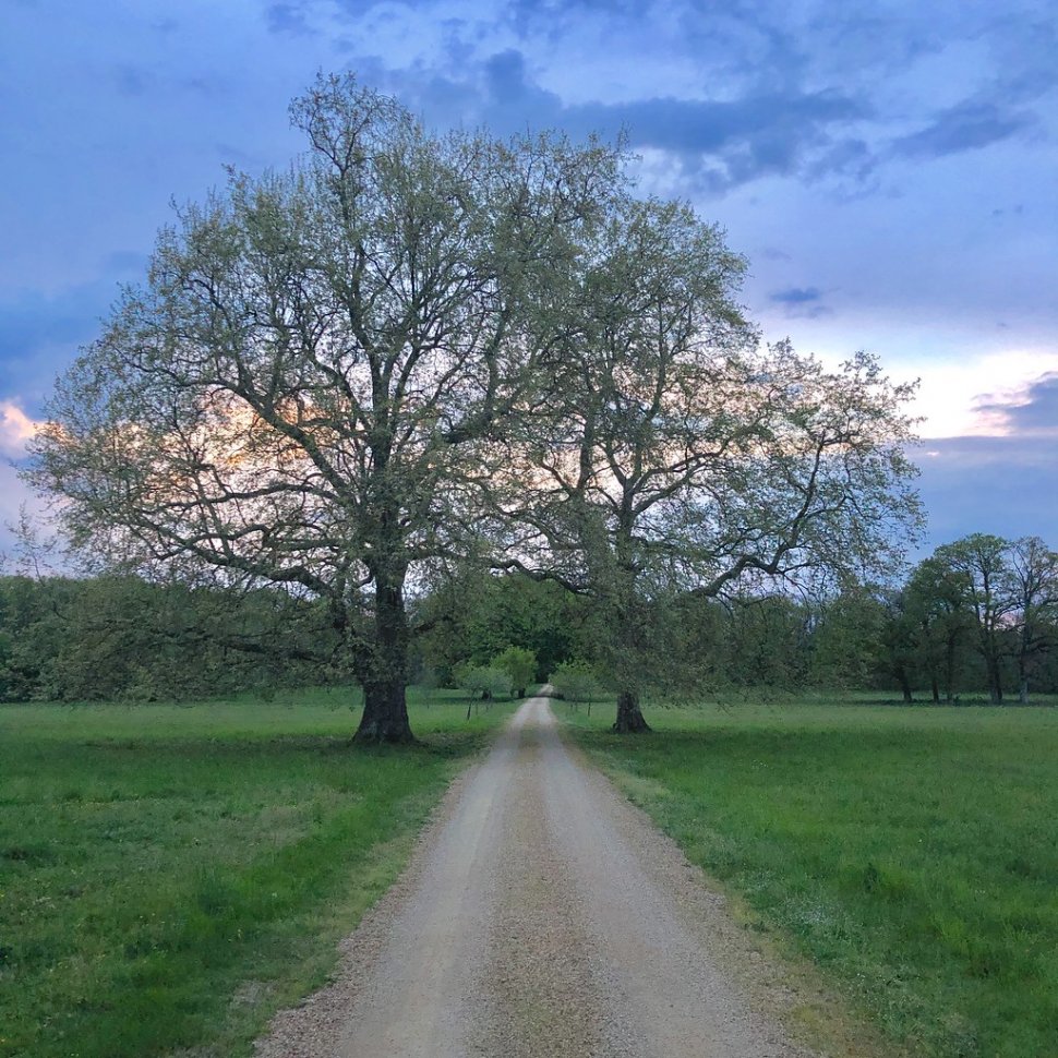 Le sentier qui longue Saint-Laurent-De-Jourde